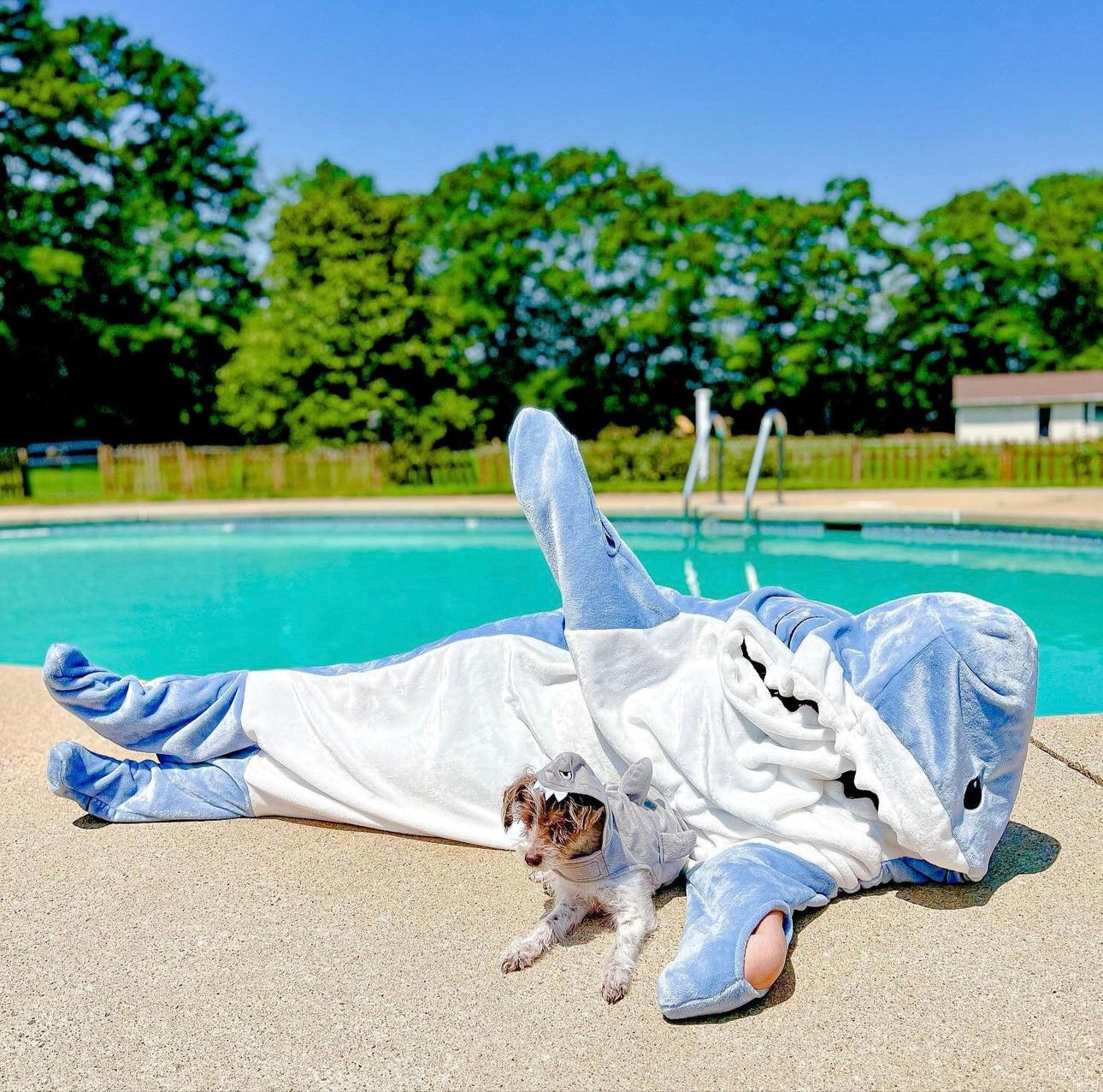 CozyShark™ Blanket